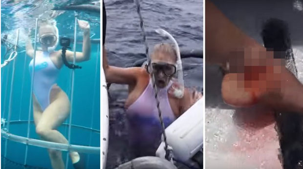 ШОК И СУЗЕ: Порно глумицу ујела ајкула (ВИДЕО)